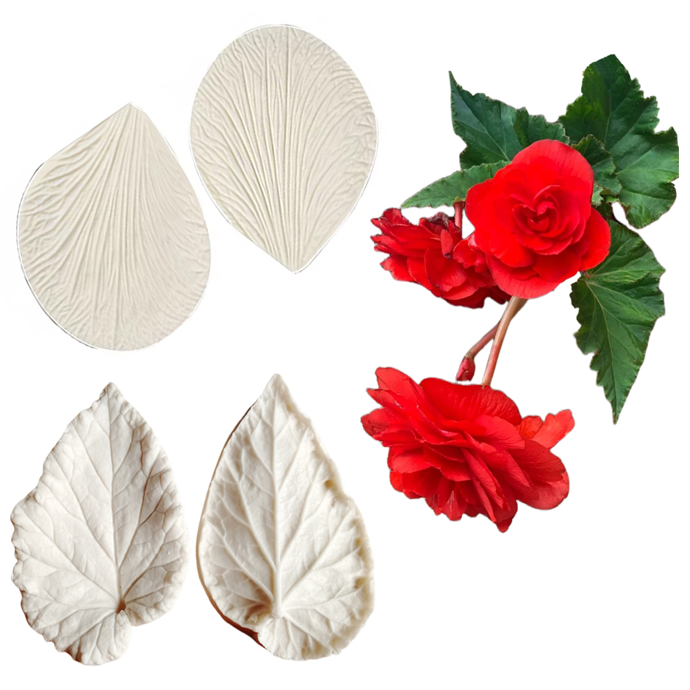 Begonia Tuberous Veiner Silico - Eco Art Craft reseña y precio