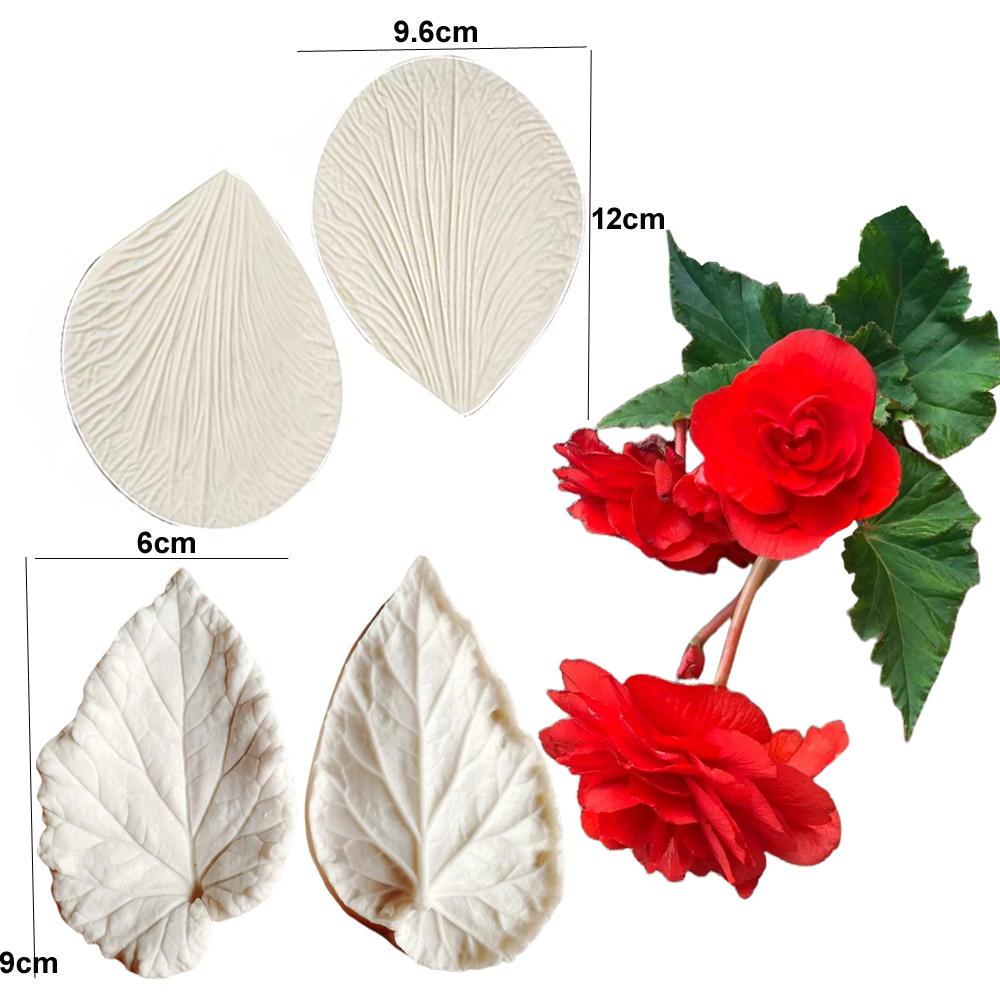 Begonia Tuberous Veiner Silico - Eco Art Craft reseña y precio