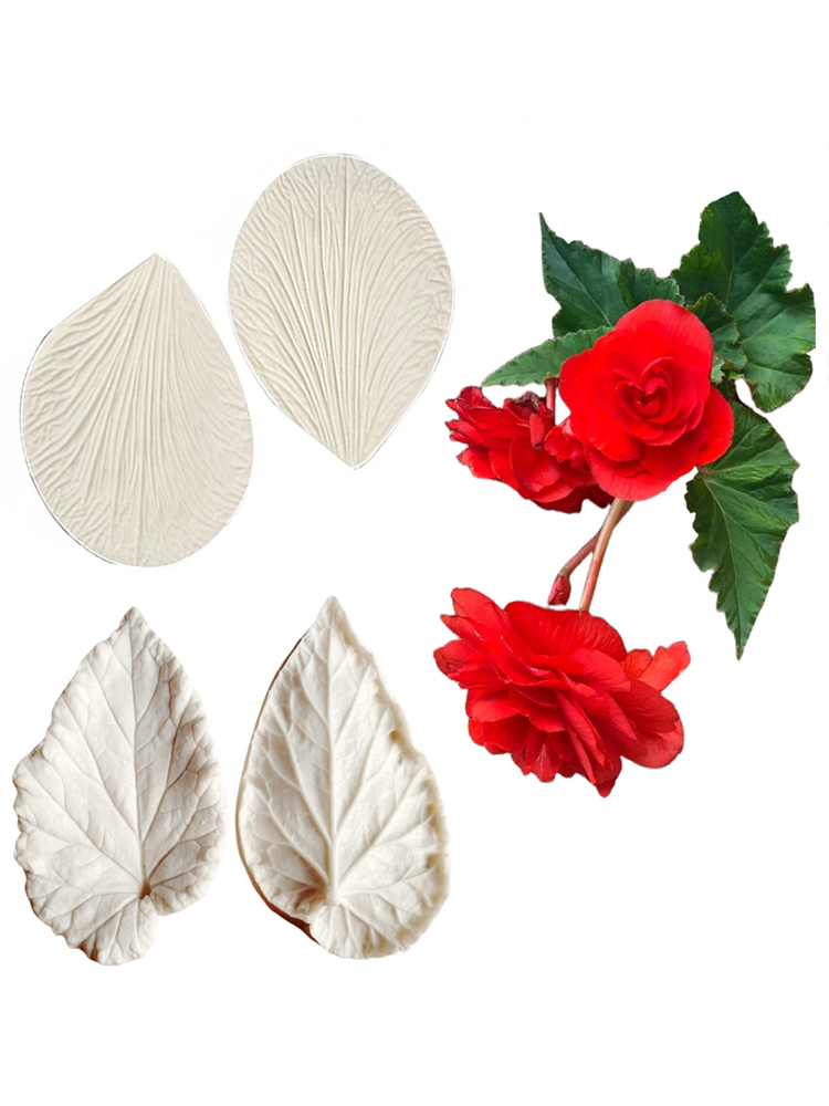 Begonia Tuberous Veiner Silico - Eco Art Craft reseña y precio