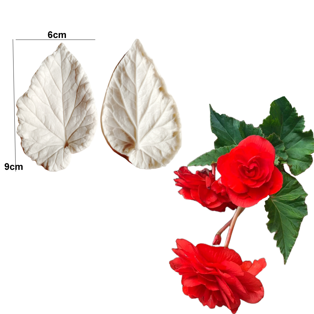 Begonia Tuberous Veiner Silico - Eco Art Craft reseña y precio
