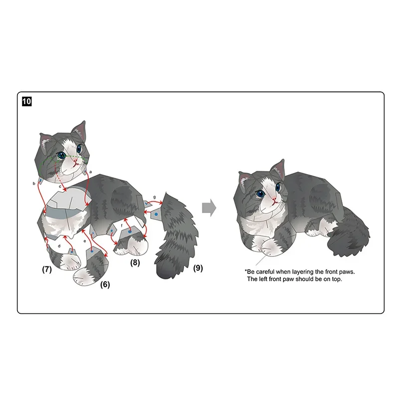 Norwegian Forest Cat Folding H - Art Craft Center reseña y precio