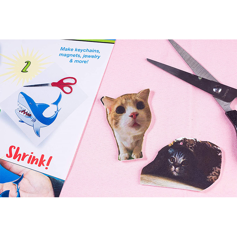 10Pcs A4 White Inkjet Printing - Art Craft Kindergarten reseña y precio