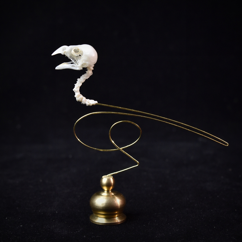 2111 Boutique Ethical Bird Sku - Art Craft Museum reseña y precio