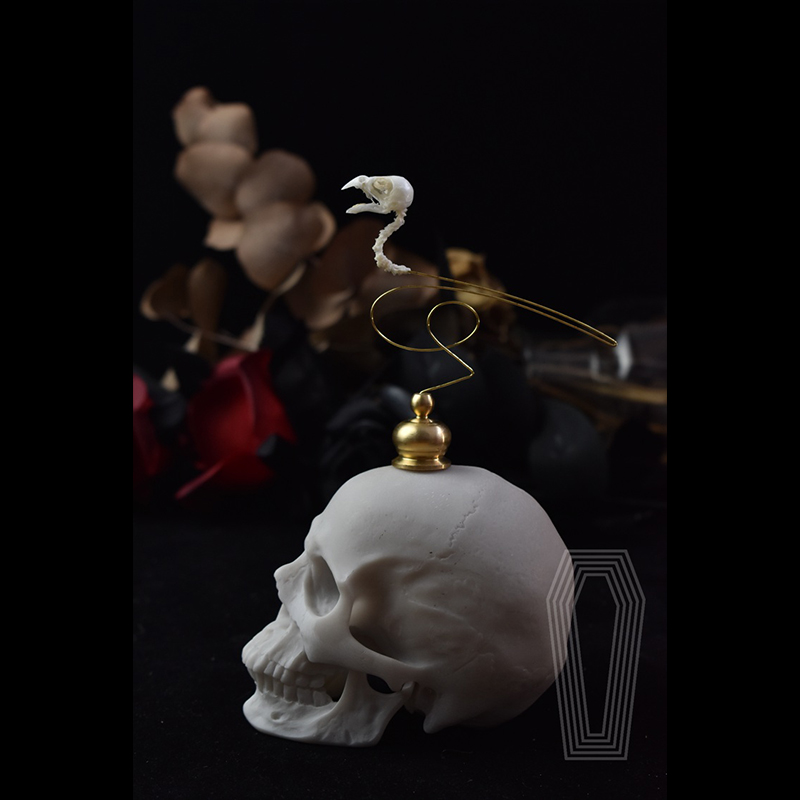 2111 Boutique Ethical Bird Sku - Art Craft Museum reseña y precio