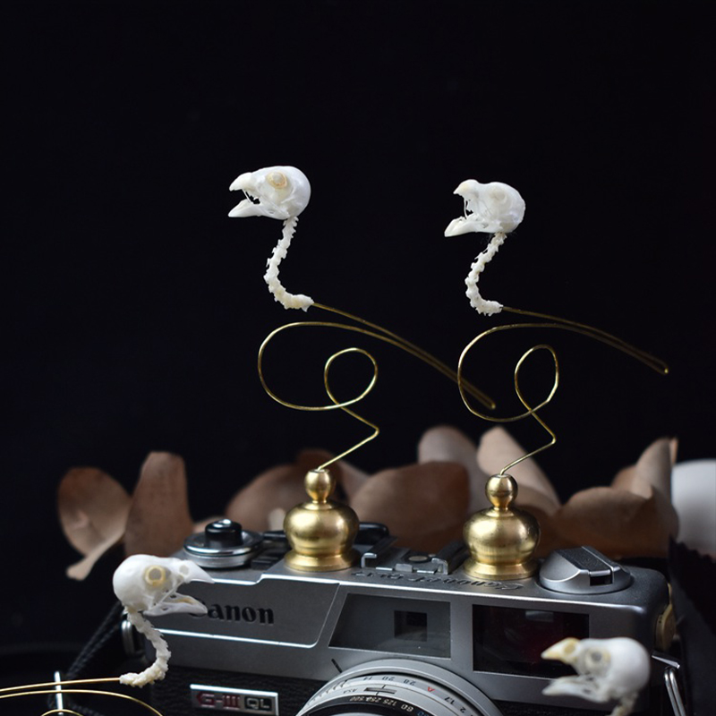 2111 Boutique Ethical Bird Sku - Art Craft Museum reseña y precio