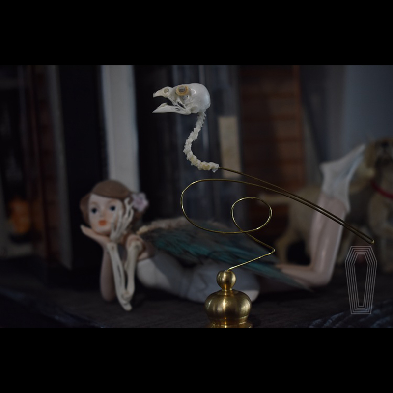 2111 Boutique Ethical Bird Sku - Art Craft Museum reseña y precio