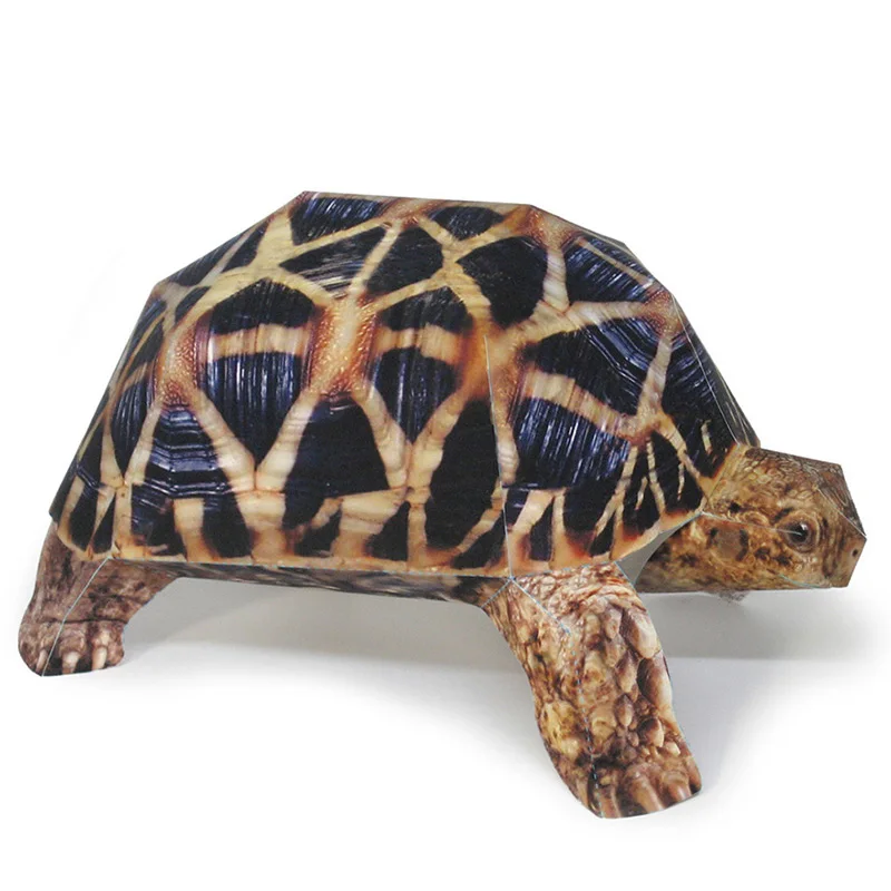 Indian Star Tortoise Paper Mod - Art Craft Center reseña y precio