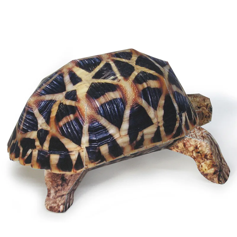 Indian Star Tortoise Paper Mod - Art Craft Center reseña y precio