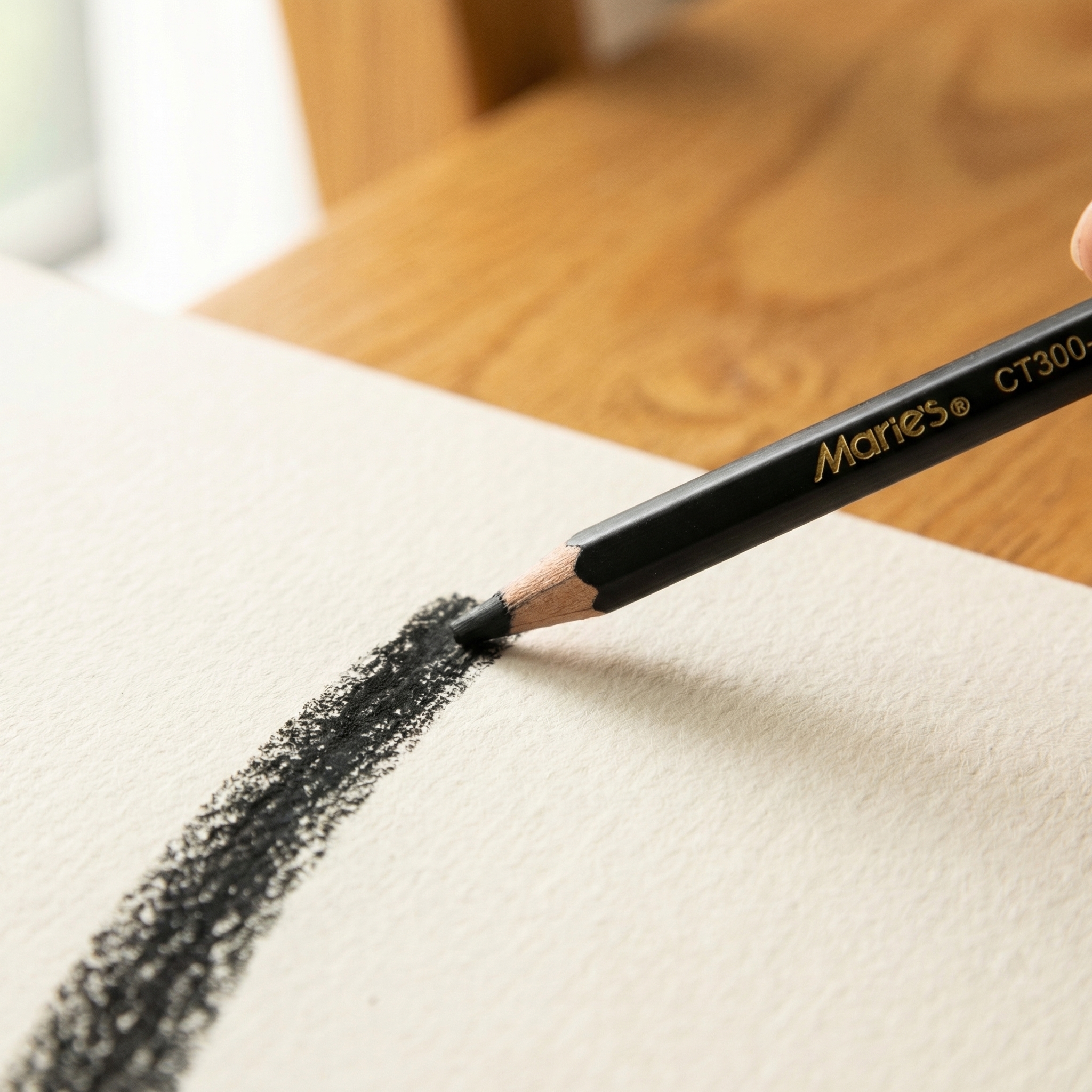 Marie's 12pcs Charcoal Pencils - Sketching Charcoal Set reseña y precio